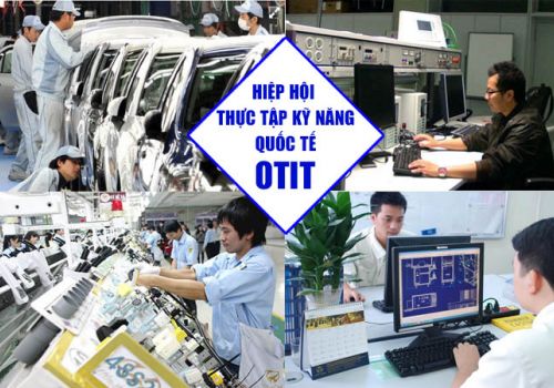 OTIT組織とは何ですか？日本人に関心のあるOTITの信じられないほどのメリット